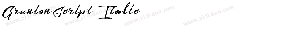 GrunionScript Italic字体转换